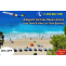 Allegiant Airlines Reservations +1-800-962-1798