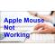 What to do when Apple Mouse is Not Working - Troubleshooting Steps