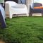 Artificial Grass in Delhi
