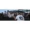 yankee stadium tickets tampa