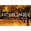 Autumn Shade Ii Font Free Download OTF TTF | DLFreeFont