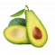 Buy Quality Organic California Hand Picked Avocado Fruit Online | Avocado Monthly