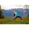 Top 4 Hatha Yoga Poses and  | Sharada Yoga Peeth News and Blog
