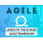 What Are the Three Levels of Scaled Agile Framework?