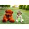 How Teddy Giant Bear Can Help with Anxiety and Stress Relief - Boo Bear Factory