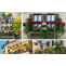 Balcony Garden Ideas and Tips for Your Home