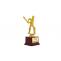 Buy Batsman Trophy Online at Best Price - THC1223