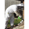 Facts you should know before hiring bee removal service 