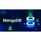 MongoDB in Mern Stack