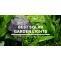 What Everyone Must Know About Solar Garden Lights 