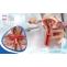 All You Need to Know about Endometrial Cancer Treatment in Manipal