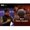 How Can Public Speaking Advance One's Career?