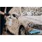  What Are the Best Ways to Clean the Wheels of Your Car and Truck? - Chaparral Truck, Car, and Pet Wash 