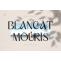 Blancat Mouris Font Free Download Similar | FreeFontify