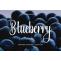 Blueberry Font Download Free | DLFreeFont