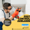 Pest Control Adelaide