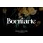 Borniarte Font Free Download Similar | FreeFontify