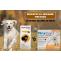 Bravecto vs. NexGard for Dogs: The preferred treatment for your pet - CanadaVetExpress - Pet Care Tips