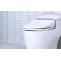 A Toilet With Bidet - An Easy Upgrade for Your Toilet