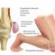 Kent MSK Clinic - Patellar Tendinopathy (Jumper&#039;s Knee)