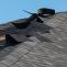 Roofing Cambridge Ontario – High-Quality Roofing Services