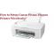 Canon Pixma TS3320 Printer Setup Wirelessly | Setup TS3320 Printer