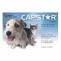Capstar – Fast acting flea treatment for dogs & cats | Bulk Buy Now