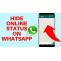 Cara Menyembunyikan Status Online Di Whatsapp dengan Mudah