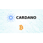 Cardano Tích Hợp Thành Công Wrapped Bitcoin Trên Mainnet &bull; Blog Tiền Số - Hướng Dẫn Đầu Tư Bitcoin/Blockchain