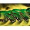 DeKingLED-Best LED Strip Lights manufacturers and LED Strip Lights wholesale suppliers,LED Power Supply,LED module Supplier