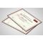 Custom Certificate Maker | Personalised Certificate Printing Online 