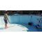 How to Clean a Pool Bottom Like a Pro Unveiling the Secrets of Maintenance | Article Terrain