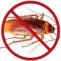 Cockroach Control Services in Chandigarh, Panchkula, Mohali, Zirakpur, Patiala, Ludhiana | 9888995920