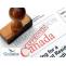 Canada PR Visa Renewal Application Process | Collabs Immigration