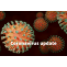 Coronavirus Delhi News: दिल्ली में 3,292 नए कोरोना मामले, 42 की मौत