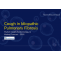 Cough in Idiopathic Pulmonary Fibrosis (IPF) Market Forecast by DelveInsight