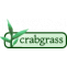  The Perk Of Having Die-Cut Bags - Custom Mylar Bags - people - Crabgrass 