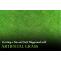 Creating a Fun and Safe Playground with Artificial Grass - Guest Post