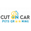 Cats Grooming Dubai