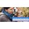 Everything You Need to Know About Animal Pain Awareness Month
