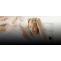 A healthy Living and Lifestyle Website | Healthy Lifestyle Trends