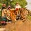   Get Ranthambore Tour Packages and Safari Booking Services from Jaipur