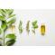 Organic Extra Virgin Olive Oil | Bayberry Wax | Organic Gums