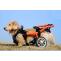 You Need A Adjustable Dog Wheelchair