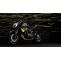 Ducati Diavel 1260 - The Power Cruiser and a True Style Icon