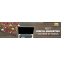 Digital Marketing CourseI Digital Marketing Training in Noida| Training Basket | Best institute for Cisco CCNA, CCNP, AWS , RHCSA , JAVA, BIGDATA, Summer Training courses in Delhi, Noida | Training Basket