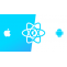 React Native Developers Chicago