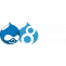 Drupal Development Service – Custom Drupal Development Company