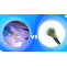 Cable Internet Vs DSL- Which Provider Wins in Performance?