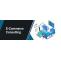 ECOMMERCE MARKETING CONSULTING SERVICES